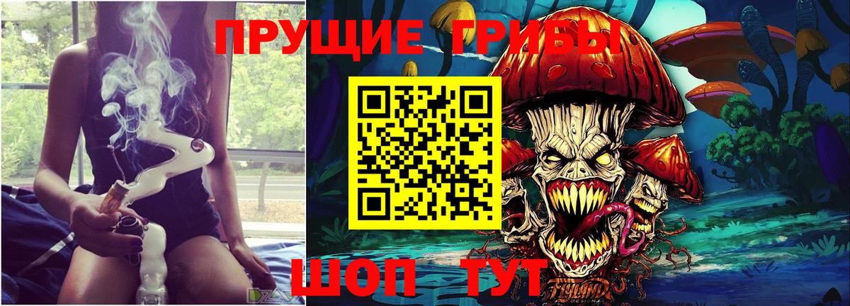 Истра  Галлюциногенные грибы Cubensis  Вход с VPN 