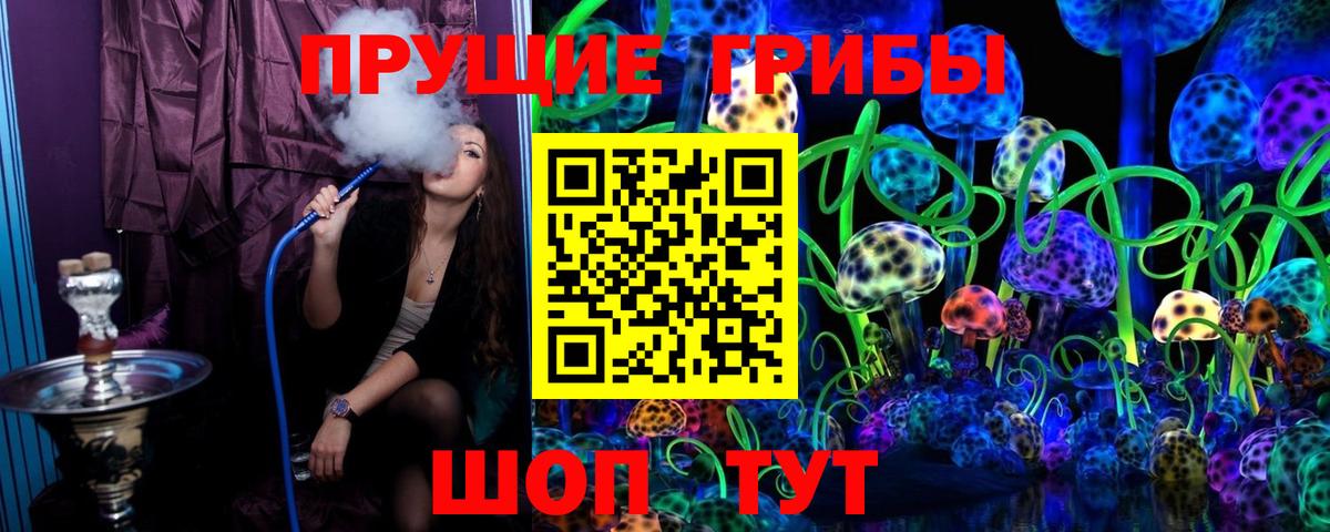 Псилоцибиновые грибы MAGIC MUSHROOMS Истра